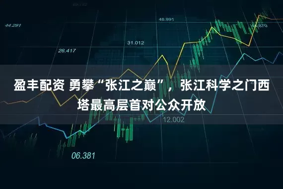 盈丰配资 勇攀“张江之巅”，张江科学之门西塔最高层首对公众开放