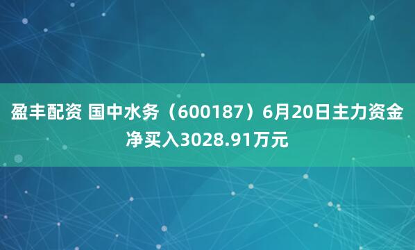 盈丰配资 国中水务（600187）6月20日主力资金净买入3028.91万元