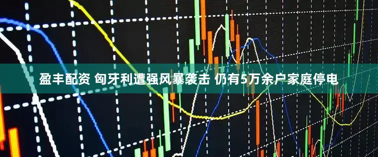 盈丰配资 匈牙利遭强风暴袭击 仍有5万余户家庭停电
