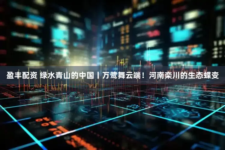盈丰配资 绿水青山的中国丨万鹭舞云端！河南栾川的生态蝶变